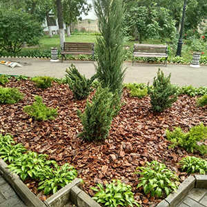 Хвойная мульча в Красногорске купить - оперативная доставка по всей России